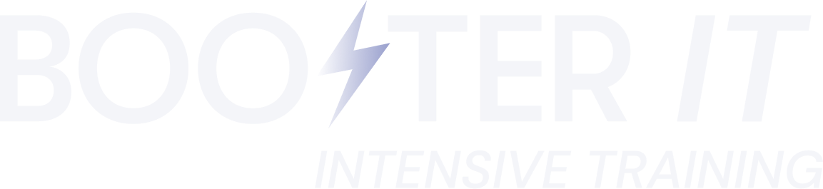ElsaSTERNxBoosterIT logo blanc